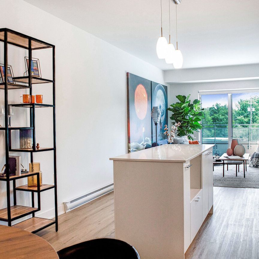 Spacious Apartments For Rent in Gatineau | 5 min from Ottawa | Book a visit today. - Photo 1