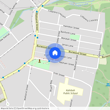 3 Keenan Lane, NSW 2290, Kahibah