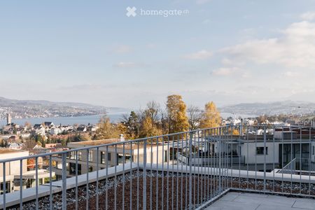 Attikawohnung in Thalwil - Photo 4