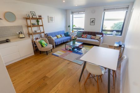 Modern, Spacious flat to let in on Ashby Road, Brockley - Photo 5