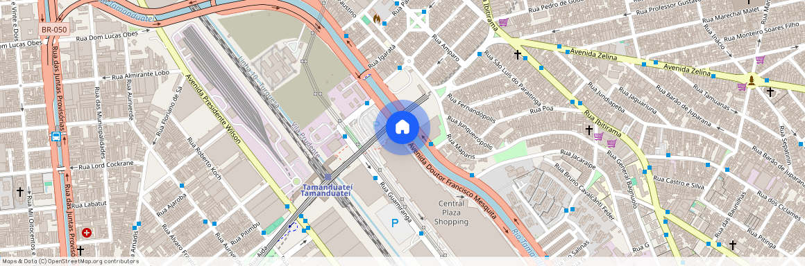 Avenida Doutor Francisco Mesquita, 1139 - Quinta da Paineira, São Paulo - SP