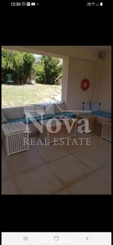 Μονοκατοικία για ενοικίαση Νεράκι (Νέα Πέραμος (Μεγάλο Πεύκο)) - Photo 2
