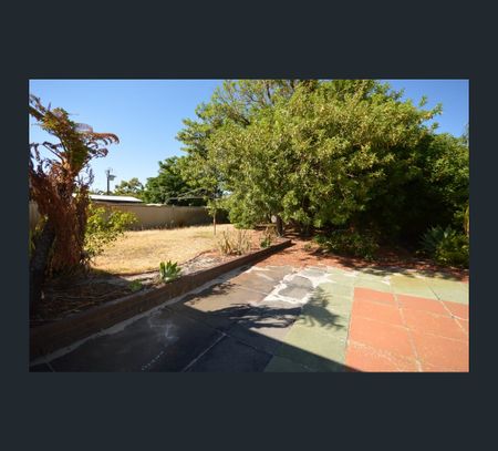 66 Gladstone Road, Rivervale, WA 6103 - Photo 5