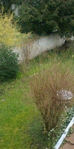 Appartement 5 pièces MULHOUSE - 5 pièce(s) - 110,53 m2 - Photo 3