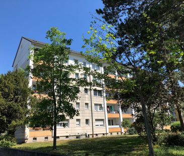 2-Zimmer-Wohnung im Erdgeschoss - Foto 1