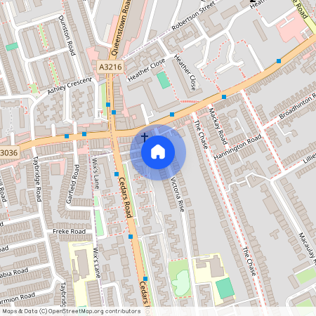 Victoria Rise, Clapham Town, SW4