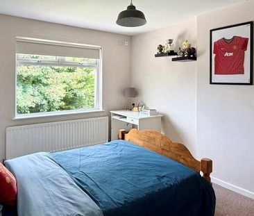 13 Irwin Drive, Lurgan, BT66 7EY - Photo 5