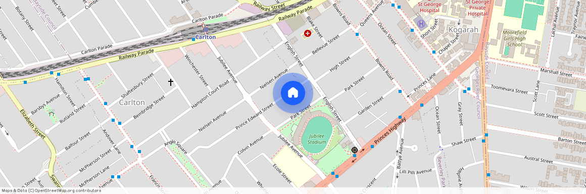 8 Prince Edward Street, NSW 2218, Carlton