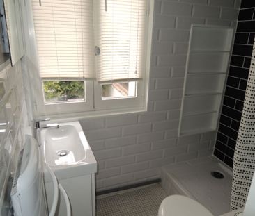 Appartement à louer - REIMS- Charmant type 2 meublé - Photo 5