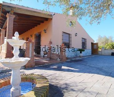 Alquiler de casa o chalet independiente en Lugar Pie Gallina, 2013 - Photo 4