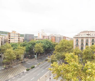 Carrer de Sant Pau, Barcelona, Catalonia 08001 - Photo 6