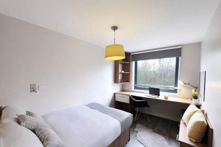 Studio to rent - Photo 3