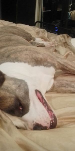 Mannering Park - Photo 1