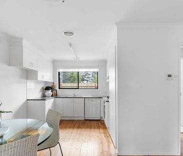 4/223 Thomas Street, Hampton VIC 3188 - Apartment For Rent | Domain - Photo 3