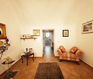 Trilocale in affitto - Photo 2