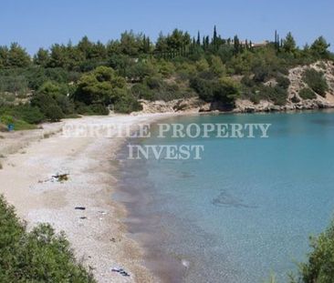 Μονοκατοικία για ενοικίαση Πετροθάλασσα (Κρανίδι) - Φωτογραφία 6