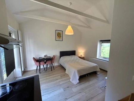 Studio meublé Rabenhauptstraat, Groningen - À louer - Foto 2