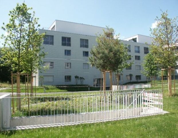 Experience happiness at first sight. - Photo 1