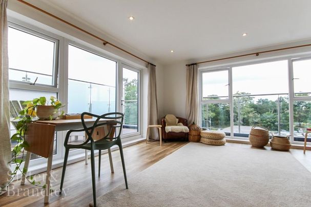 2 bedroom penthouse to rent - Photo 1