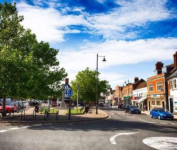 Back Street, Biggleswade, SG18 - Photo 2