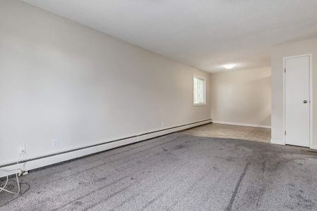 Renovated Suite - 2 Bedroom - Photo 5