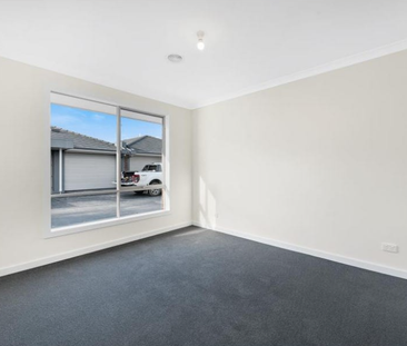 Neat Sweet and Complete - Photo 4