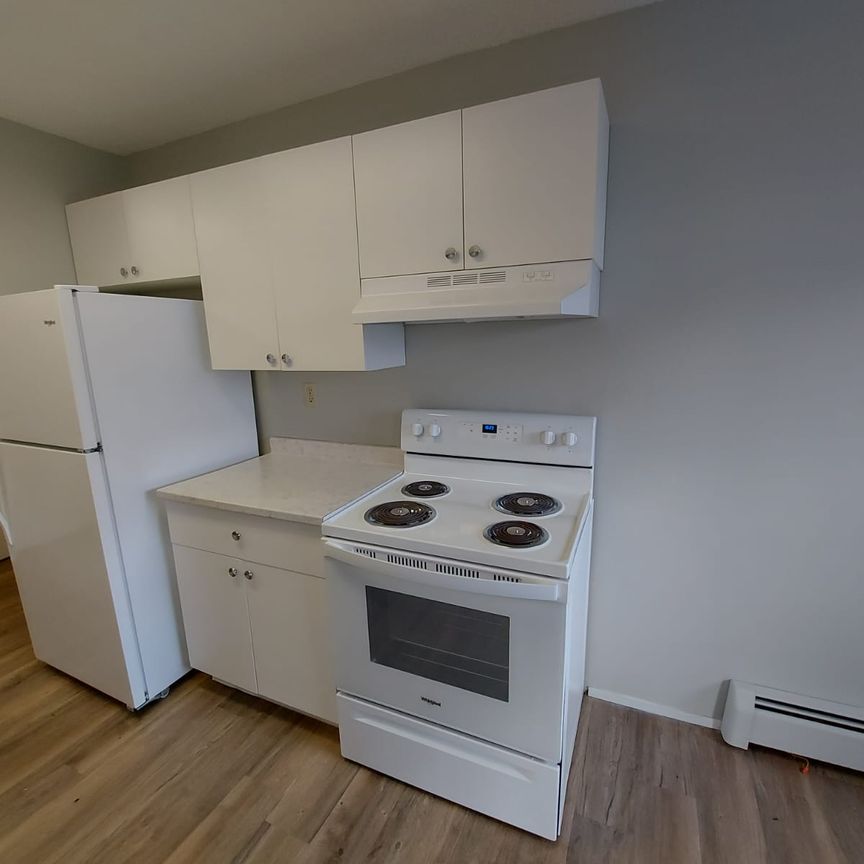 Fully Renovated Pet Friendly Unit!!! - Photo 1