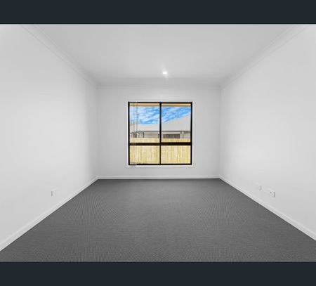 81 Indigo Way, Kawungan, Qld 4655 - Photo 3