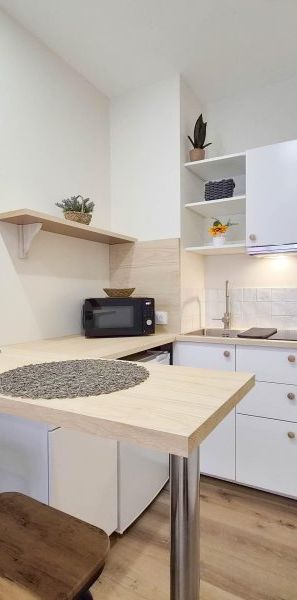 Location / Studio meublé - Photo 1
