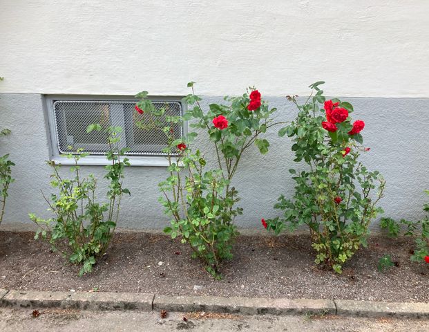 Petrejusvägen, Johanneshov - Photo 1