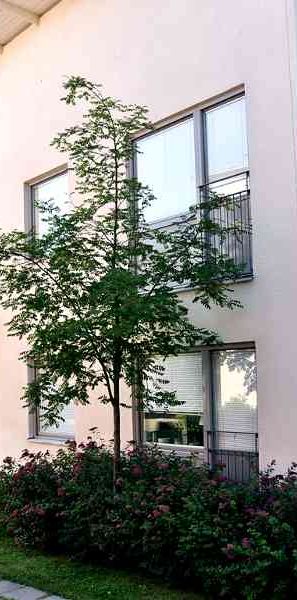 T1, Drabantgatan 26 C.21 - Photo 1