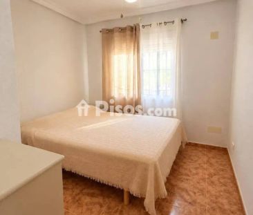 Casa adosada en alquiler en Cabo Roig-La Zenia-La Regia - Photo 3