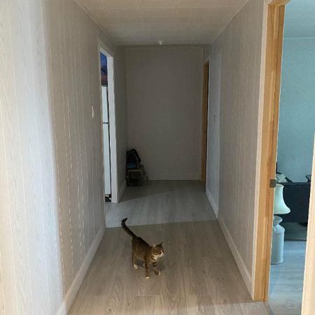 Logement 3 1/2 disponible juillet 2026 - Photo 4