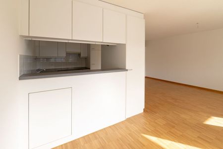 Wasserwerkstrasse - schöne moderne 3 1/2-Zimmer-Wohnung mit Gartensitzplatz - Photo 2