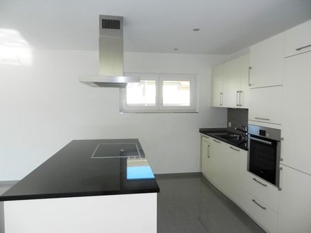 Grosszügige Wohnung mit sonniger Terrasse in Neuhausen - Foto 3