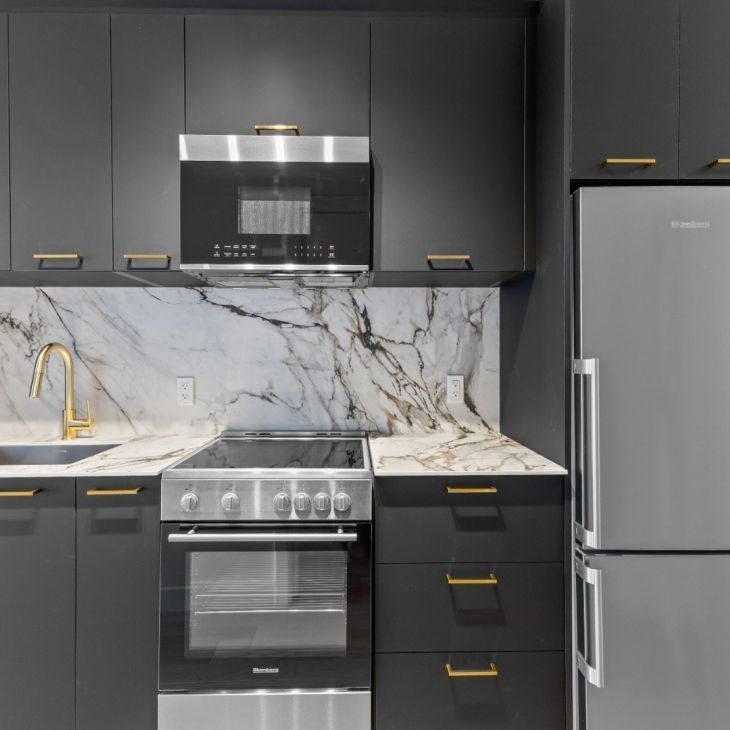 Appartement à louer - Montréal (Verdun/Île-des-Soeurs) (Île-des-Soeurs) Appartement à louer - Montréal (Verdun/Île-des-Soeurs) (Île-des-Soeurs) - Photo 1