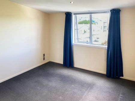 Modern, Easy-Care Living - Photo 3