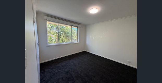 Perfect Location!! - Photo 1