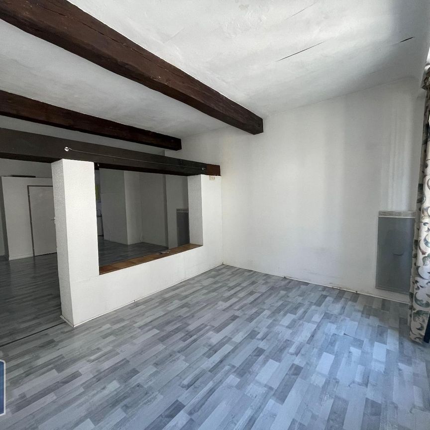 Location Appartement 1 pièce 52m² GRENOBLE 38000 - Photo 1