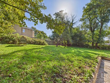 4 bedroom farm house to rent - Photo 3