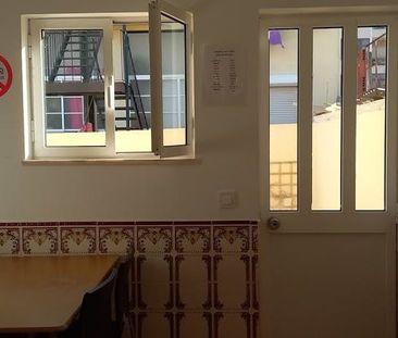 Tapada da Ajuda, Lisbon, Lisbon 1300 - Photo 1