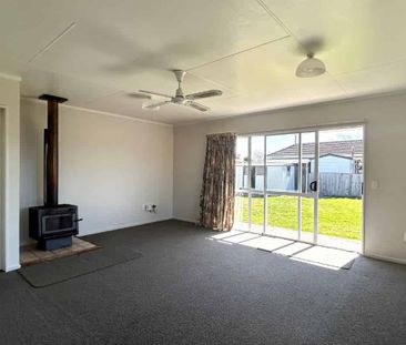 Sunny 3 Bedroom Family Home in Tahunanui - Photo 1