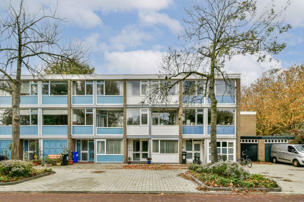 Van der Boechorststraat 44, Buitenveldert-Zuidwest, 1081BV, Amsterdam - Foto 1