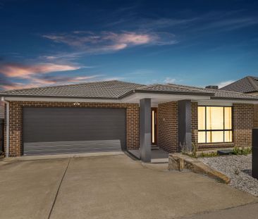 30 Murrjinelle Circuit, Bonner ACT 2914 - House For Rent | Domain - Photo 6