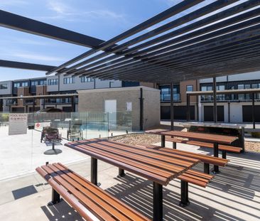 53/92 Bettong Avenue, Throsby ACT 2914 - Townhouse For Rent | Domain - Photo 1