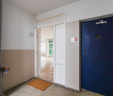 Ranonkelstraat 373 - Photo 3