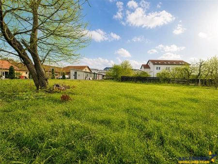 Casa cu 1.924 mp teren, de inchiriat, Sfantu Gheorghe - Fotografie 3