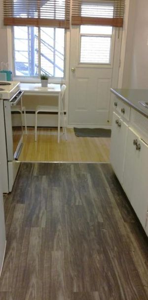 1 CH - 1 SDB - Montréal - $1,250 /mo - Photo 1