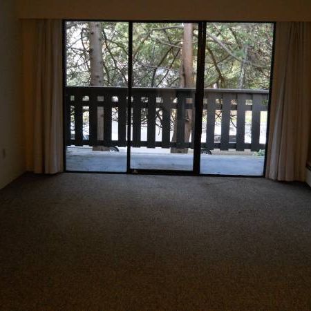 Spacious 1 Bedroom Apartment (Unit 217) - Photo 1