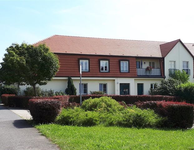 Kleine helle Wohnung in gepflegter Wohnlage - Photo 1